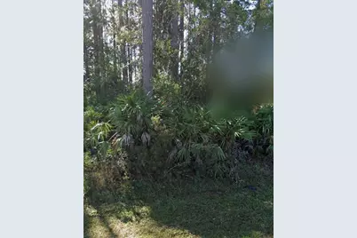31 Red Clover Lane, Palm Coast, FL 32164 - Photo 3