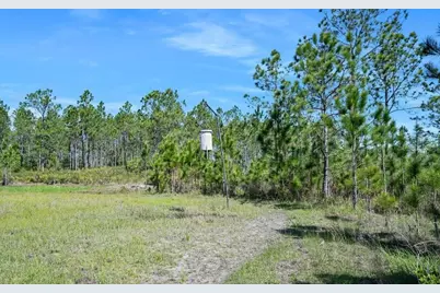0 Carter Street, Bunnell, FL 32110 - Photo 13