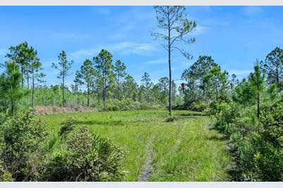 0 Carter Street, Bunnell, FL 32110 - Photo 15