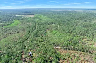 0 Carter St, Bunnell, FL 32110 - Photo 1