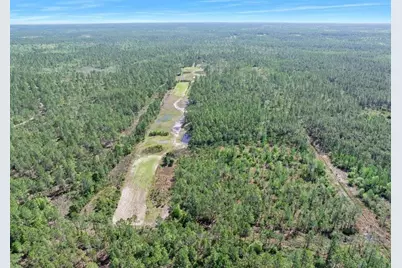 0 Carter Street, Bunnell, FL 32110 - Photo 3