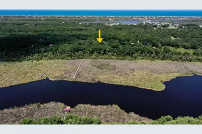 73 Bridle Ridge Court, Flagler Beach, FL 32136 - Photo 81