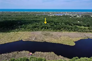 73 Bridle Ridge Ct, Flagler Beach, FL 32136 - Photo 81