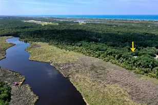 73 Bridle Ridge Ct, Flagler Beach, FL 32136 - Photo 77
