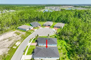 8 Aucilla Pl, Palm Coast, FL 32137 - Photo 39