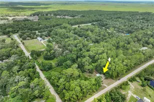 2318 Coconut Blvd, Bunnell, FL 32110 - Photo 53