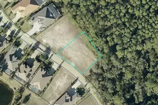 491 Sweetgum Ln, Palm Coast, FL 32137 - Photo 1