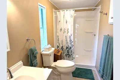 56314 Blue Creek Road, Astor, FL 32102 - Photo 15