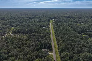 4856 Stephens St, Hastings, FL 32145 - Photo 59