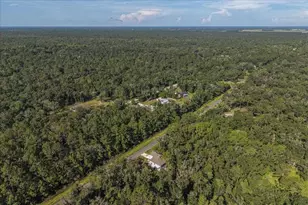 4856 Stephens St, Hastings, FL 32145 - Photo 61