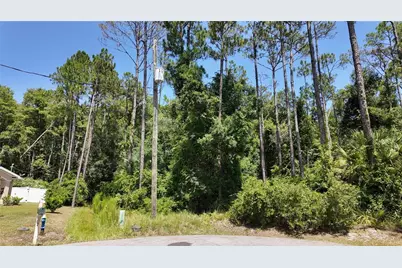 8 Zaftig Court, Palm Coast, FL 32164 - Photo 3