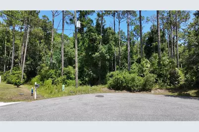 8 Zaftig Court, Palm Coast, FL 32164 - Photo 1