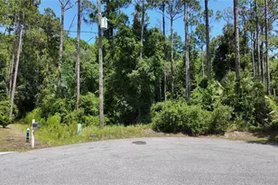 8 Zaftig Ct, Palm Coast, FL 32164 - Photo 1