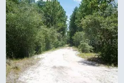 148 Arden Street, Georgetown, FL 32139 - Photo 1