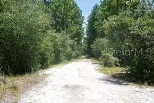 148 Arden St, Georgetown, FL 32139 - Photo 1