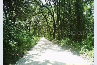 148 Arden Street, Georgetown, FL 32139 - Photo 5