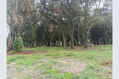 890 Grand Rondo W, Crescent City, FL 32112 - Photo 7