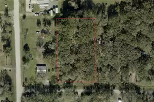 3732 Pear Ave, Bunnell, FL 32110 - Photo 1