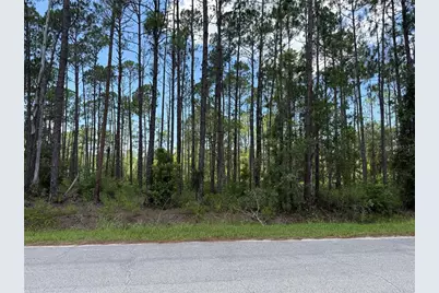 2914 Avocado Boulevard, Bunnell, FL 32110 - Photo 3
