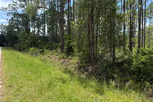 2914 Avocado Blvd, Bunnell, FL 32110 - Photo 1