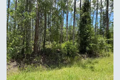 2914 Avocado Boulevard, Bunnell, FL 32110 - Photo 7