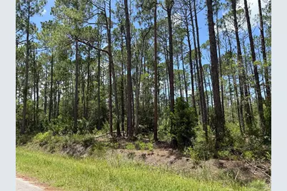 2914 Avocado Boulevard, Bunnell, FL 32110 - Photo 5