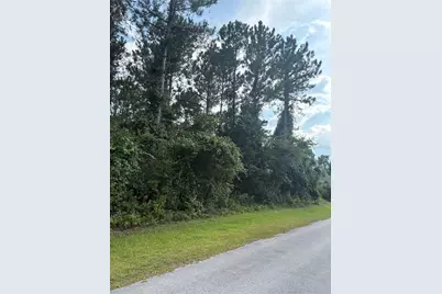 17 Uhlerwood Court, Palm Coast, FL 32164 - Photo 1