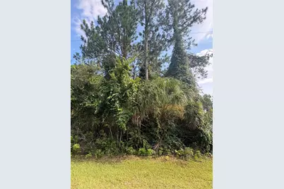 17 Uhlerwood Court, Palm Coast, FL 32164 - Photo 3