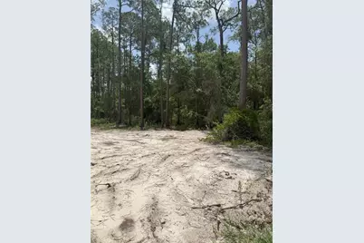 1573 Laurel Avenue, Bunnell, FL 32110 - Photo 3