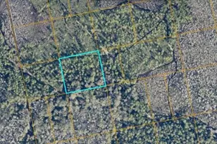 Unimproved, Oak Hill, FL 32759 - Photo 1