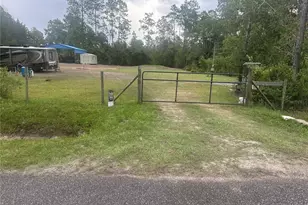 10220 Crotty Ave, Hastings, FL 32145 - Photo 1