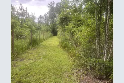 10220 Crotty Avenue, Hastings, FL 32145 - Photo 13