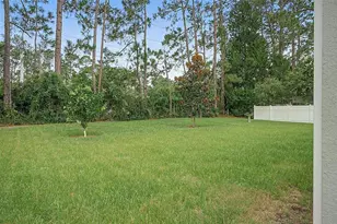 177 Underwood Trl, Palm Coast, FL 32164 - Photo 53