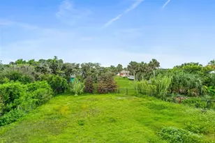 2446 S Central Ave, Flagler Beach, FL 32136 - Photo 49
