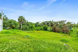 2446 S Central Ave, Flagler Beach, FL 32136 - Photo 53