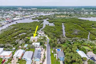309 Cypress St, Flagler Beach, FL 32136 - Photo 65