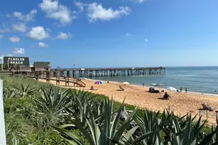 54 Forest Rd, Flagler Beach, FL 32136 - Photo 23