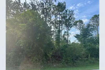 85 Whittington Drive, Palm Coast, FL 32164 - Photo 5