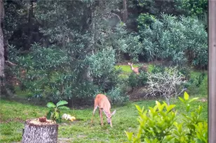 1384 Aleut Ln, Ormond Beach, FL 32174 - Photo 53