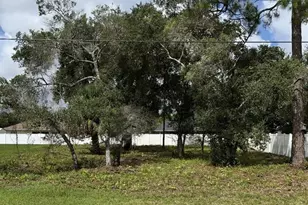 10 Ziegfeld Pl, Palm Coast, FL 32164 - Photo 1