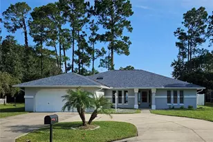 3 Point Pleasant Dr, Palm Coast, FL 32164 - Photo 1