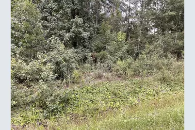 4940 Kenneth Street, Hastings, FL 32145 - Photo 1