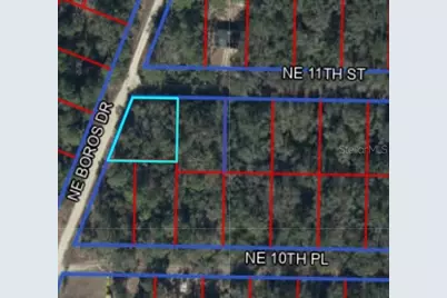 0 NE 11th Street, Williston, FL 32696 - Photo 3