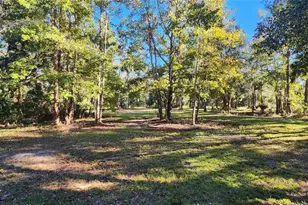 680 E Black Point Rd, Bunnell, FL 32110 - Photo 1