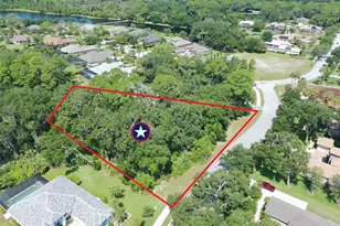 4 Turkey Oak Ln, Palm Coast, FL 32137 - Photo 1
