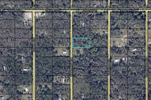 10230 Weatherby Ave, Hastings, FL 32145 - Photo 1