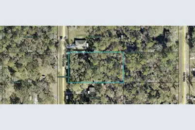 10300 Stycket Avenue, Hastings, FL 32145 - Photo 3