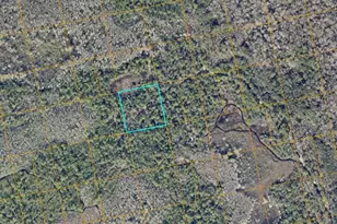 N St, Oak Hill, FL 32759 - Photo 1