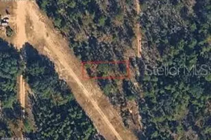 Xx N Lakeview Dr Lot 142/5, Interlachen, FL 32148 - Photo 1