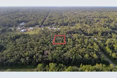 4725 Alvin Street, Hastings, FL 32145 - Photo 7